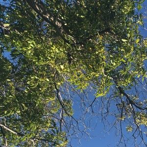 Meet your Posher, Janice